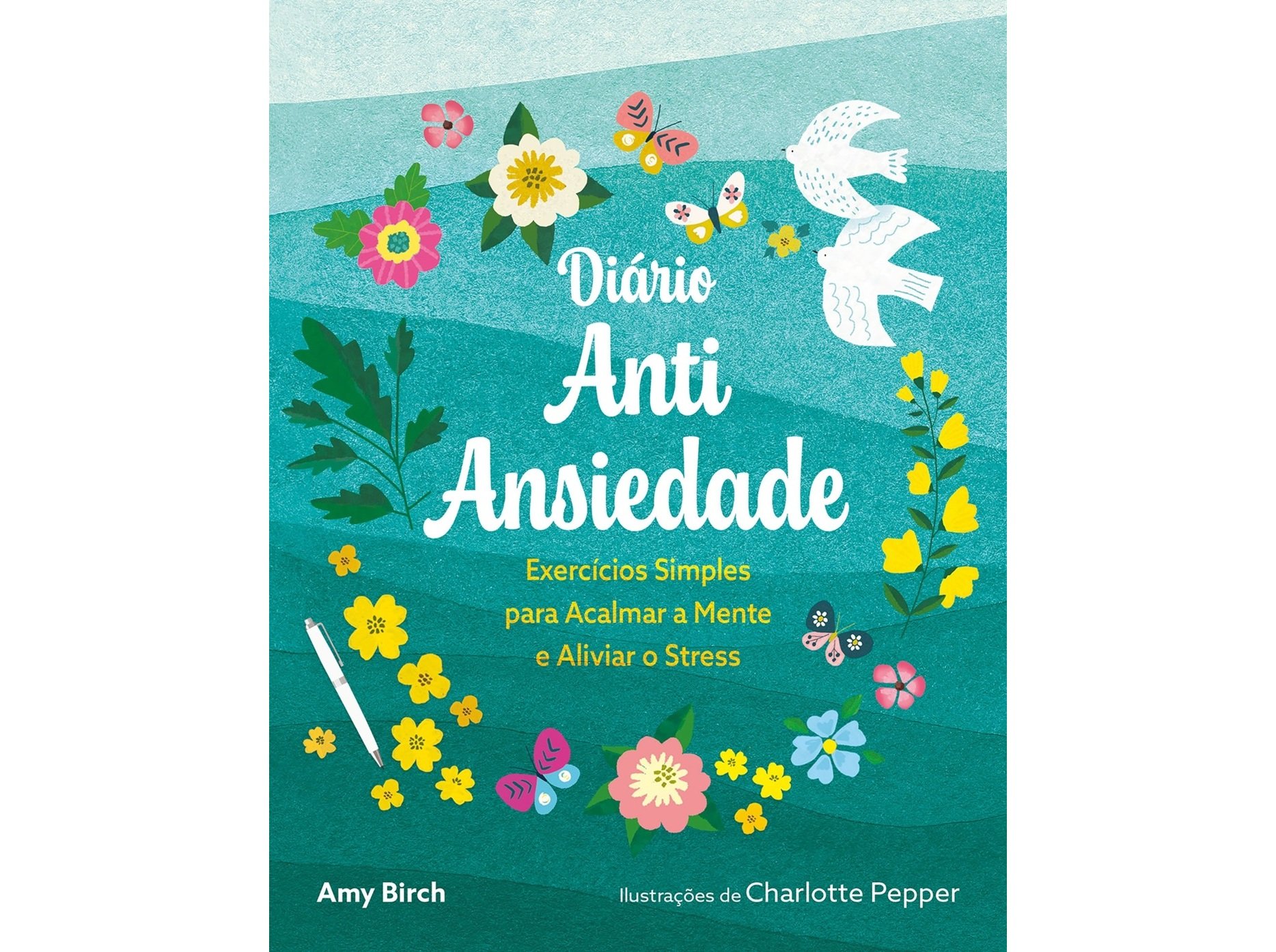 LIVRO DIÁRIO ANTIANSIEDADE DE AMY BIRCH