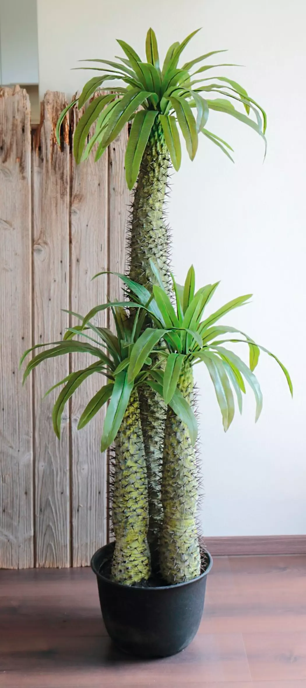 Kunstpflanze Madagaskarpalme 170 cm