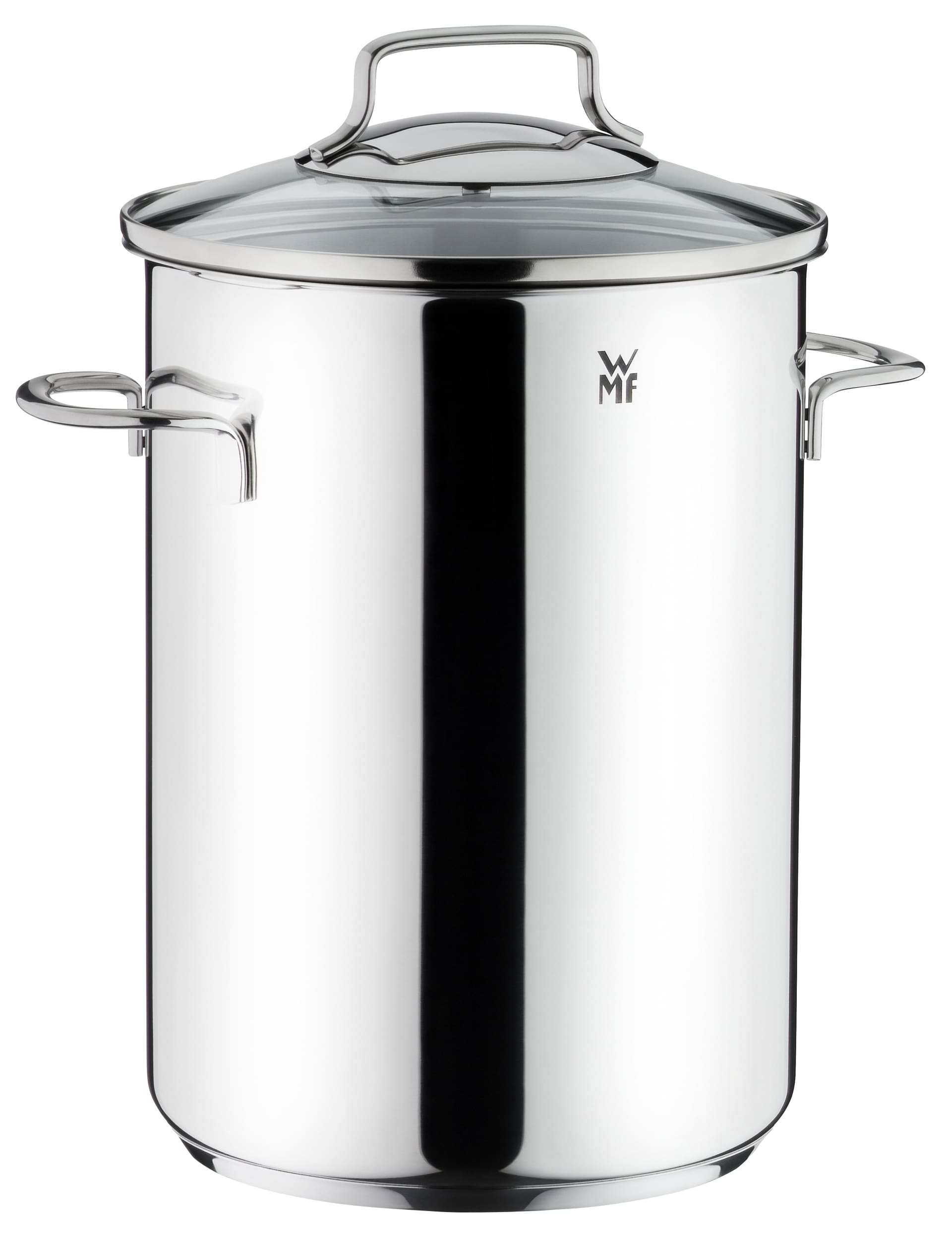 WMF Spargeltopf 4,5 l Edelstahl mit Glasdeckel