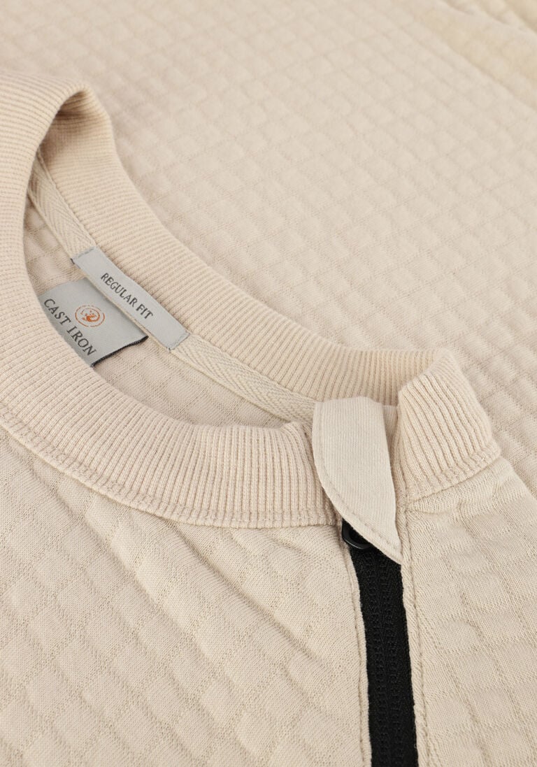 CAST IRON beige cast iron trui long sleeve r-neck jacquard waffle cotton blend