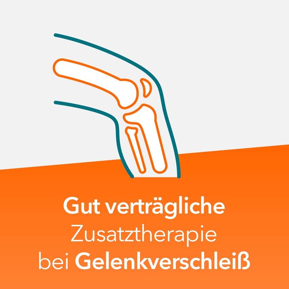 Teufelskralle ratiopharm® - bei Gelenkschmerz