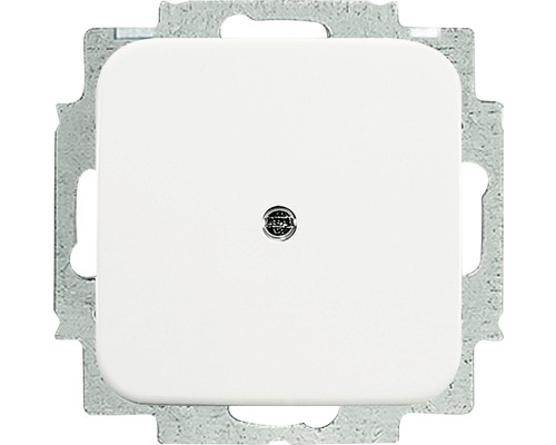 Busch-Jaeger 2538-214 Blinde middenschijf met steunring Reflex SI alpinewit