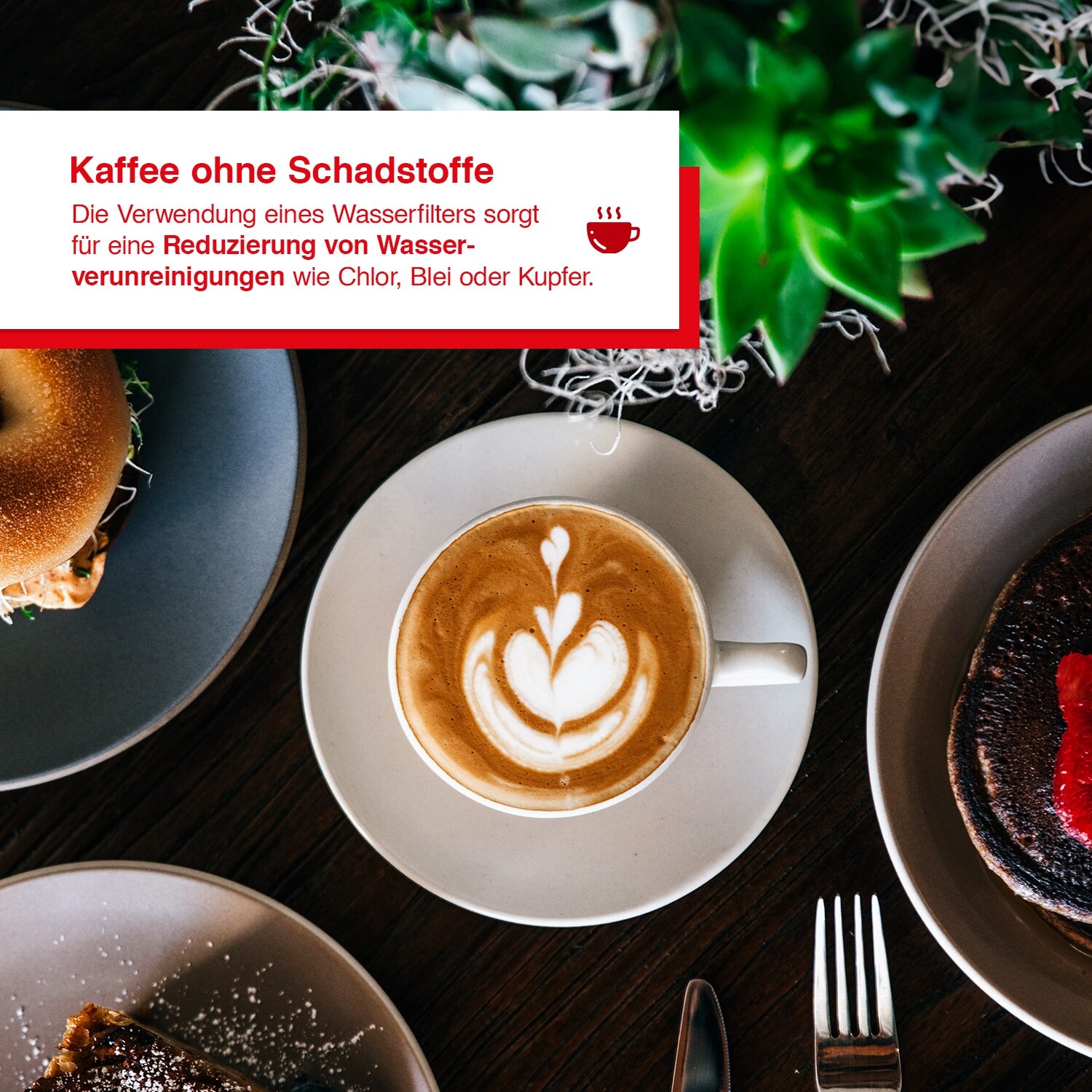 Solis Wasserfilter CLARIS f&amp;uuml;r Espressomaschinen, 2er Set