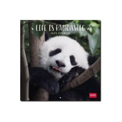 Legami - Calendrier mensuel 2024 - 18 x 18 cm - life is pandastic