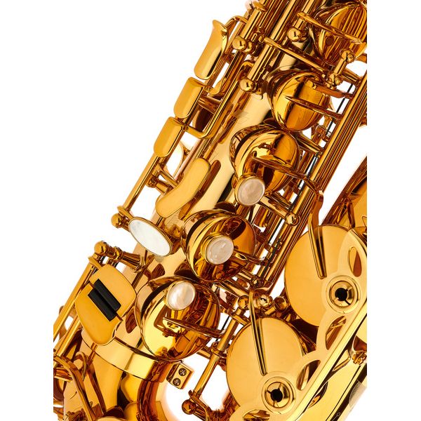 Selmer Signature Alto Sax SE-ASIL