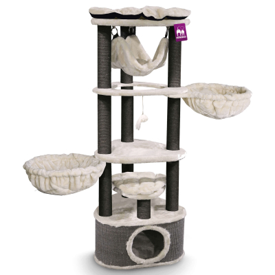 Petrebels Katzenbaum Kings & Queens Catharina 160 royalcream