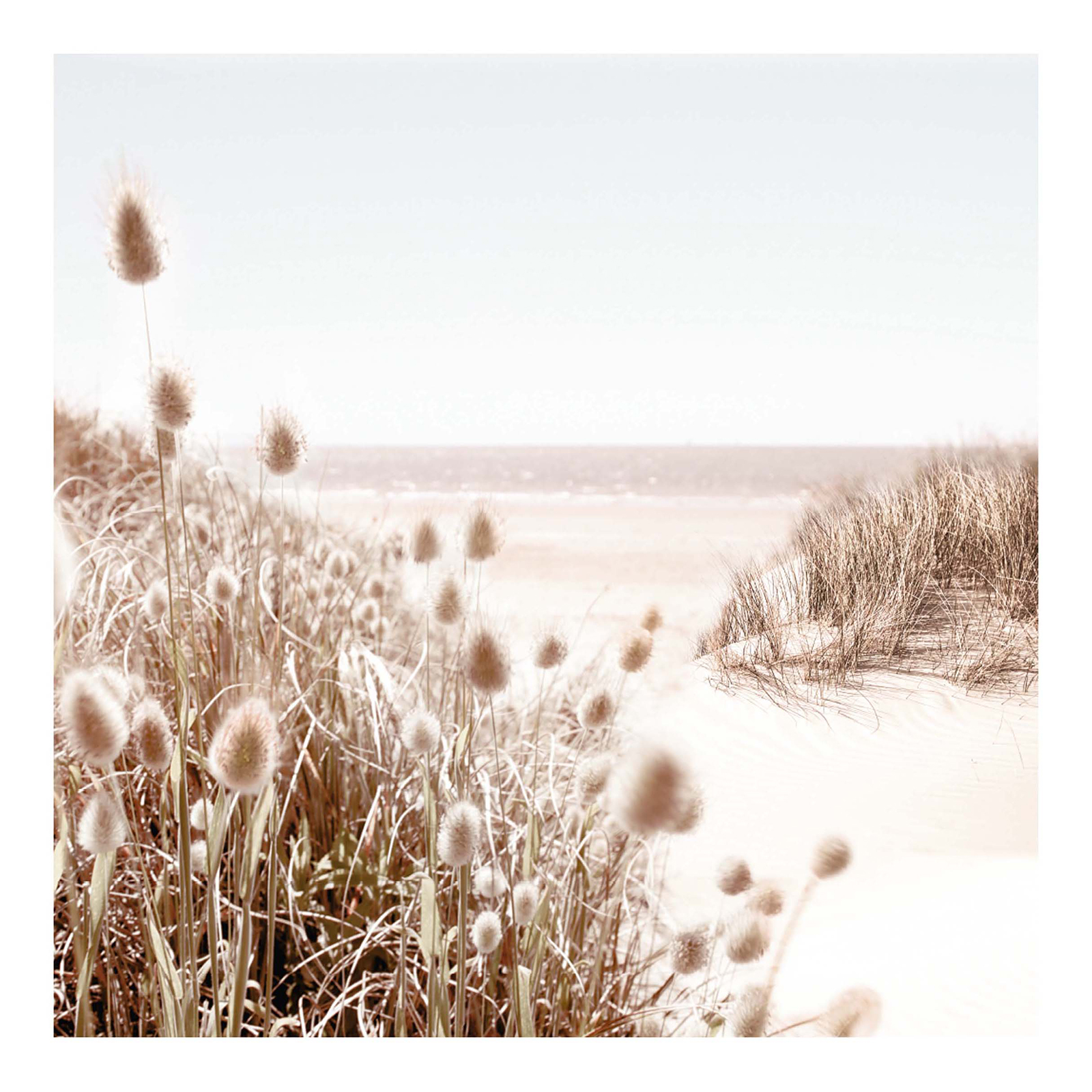 Gerahmtes Bild DUNE BEACH - 50x50 cm