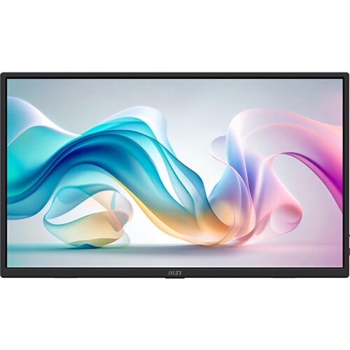 Ecran PC Msi PRO MP165 E6