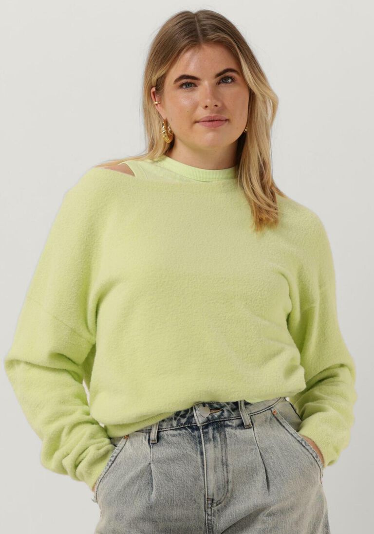 CATWALK JUNKIE mint catwalk junkie trui kn soft