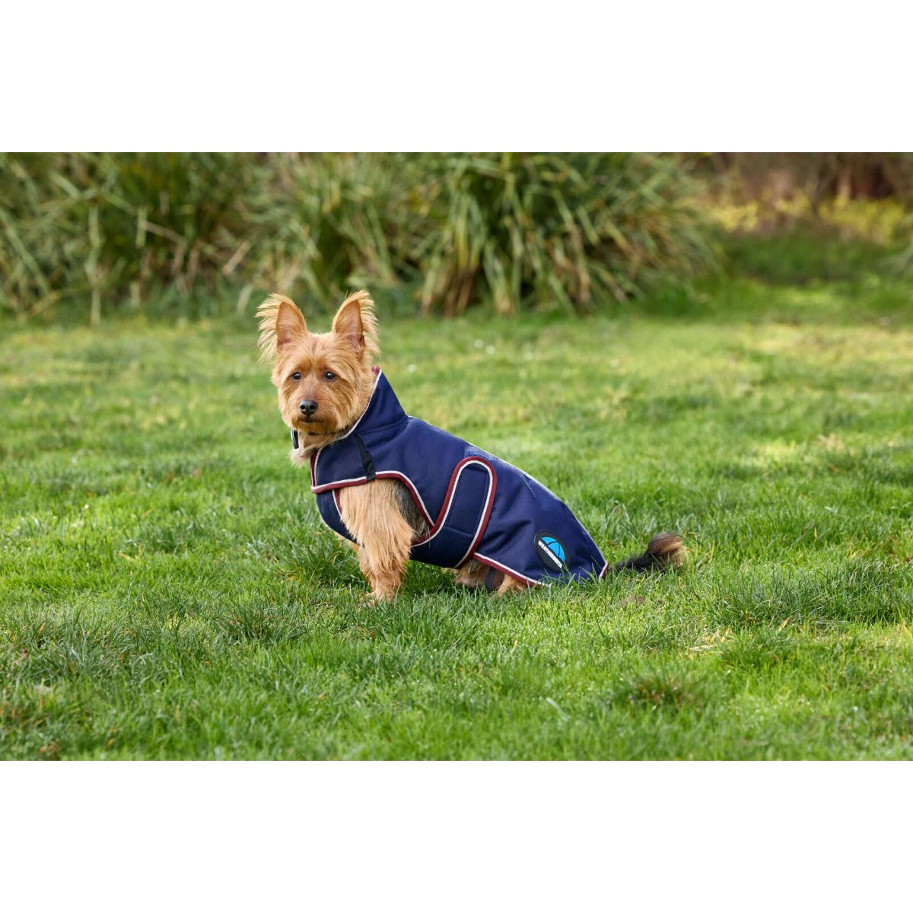 WeatherBeeta Hondendeken ComFiTec Premier Deluxe Waterproof Navy/Burgu