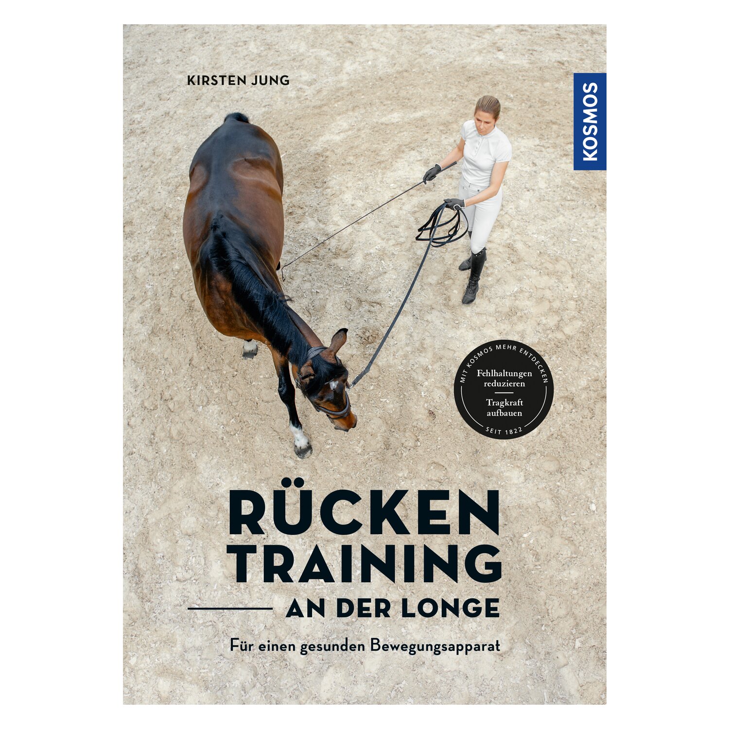 Rückentraining an der Longe