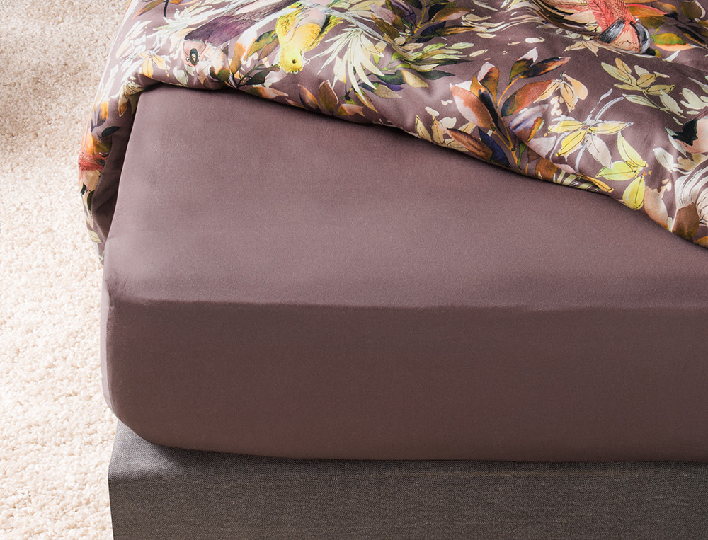 Drap-housse-Amazonie