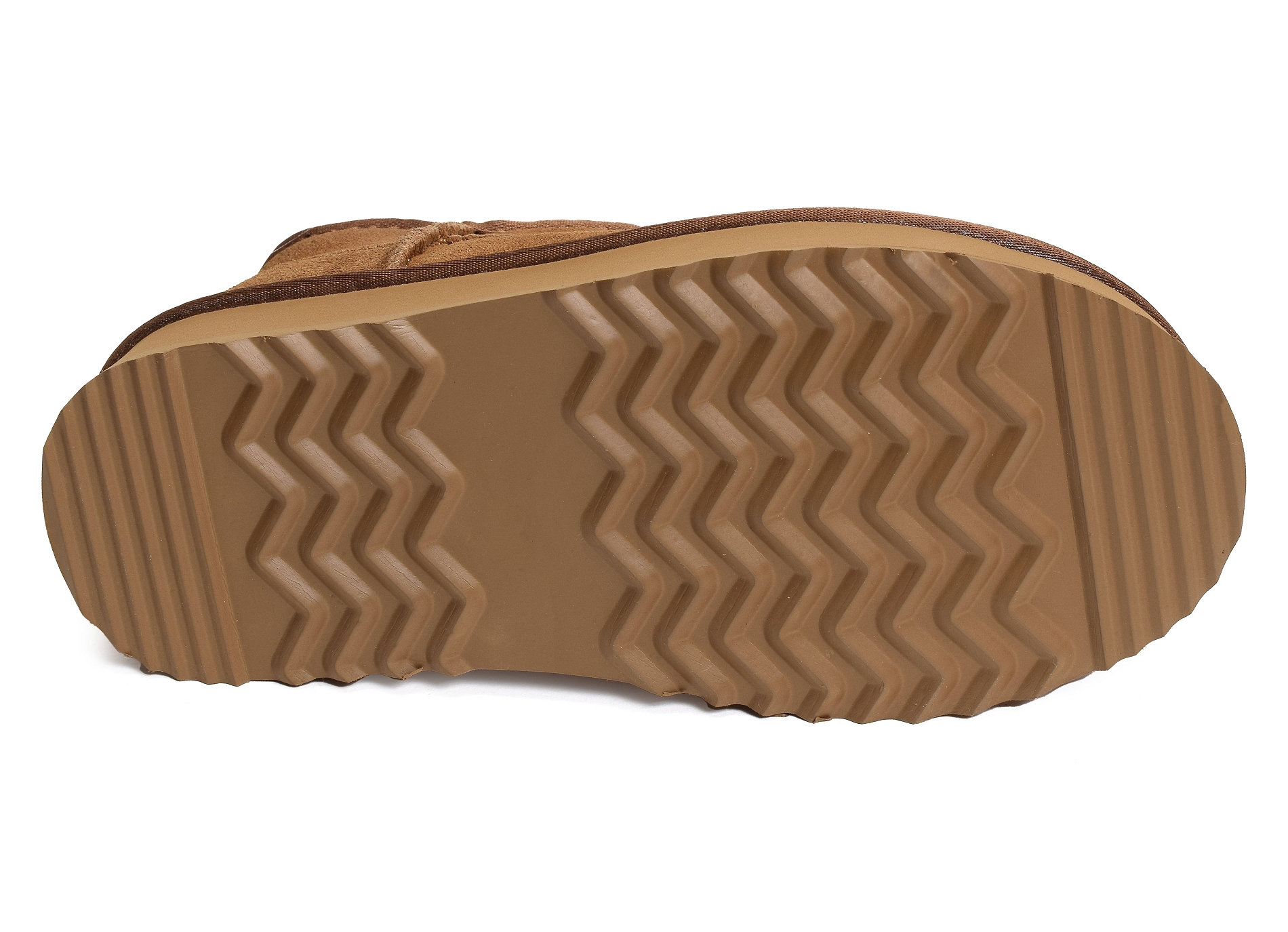 K31224 camel