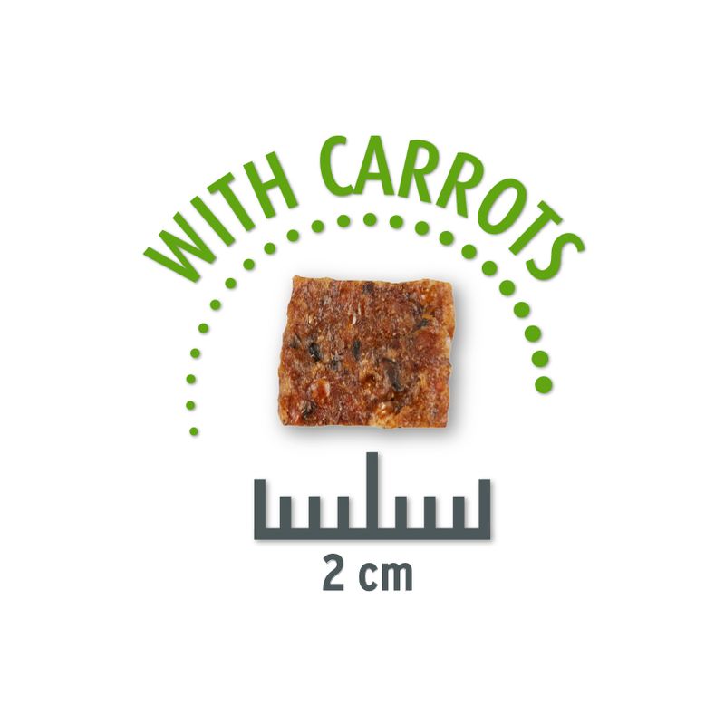 Friandises Concept for Life Insect Snack carottes pour chien