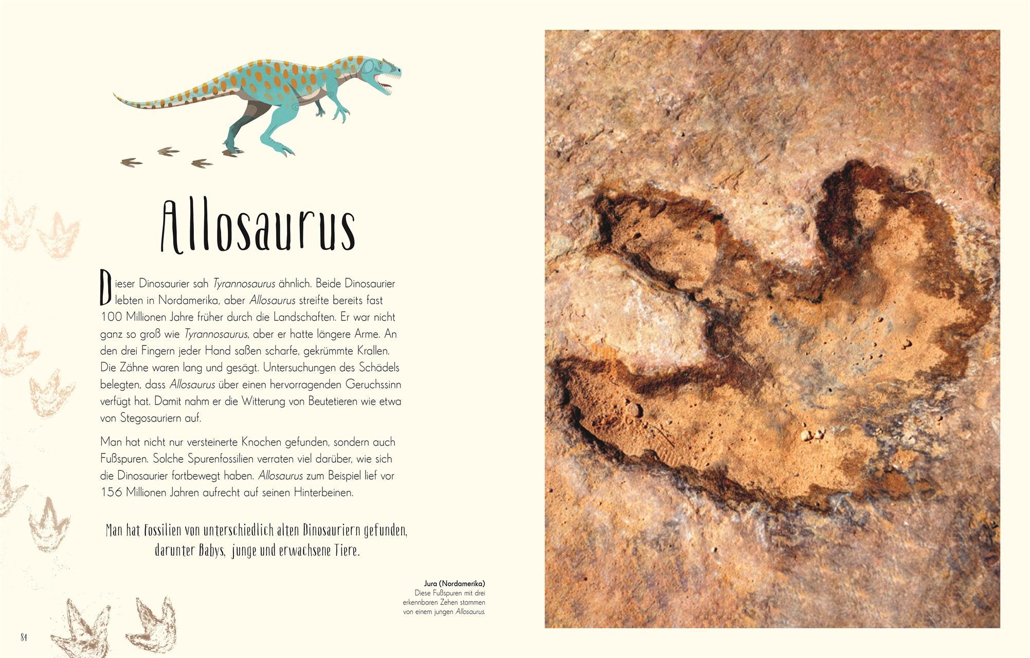 Wundervolle Welt der Dinosaurier und der Urzeit / Wundervolle Welt Bd.4