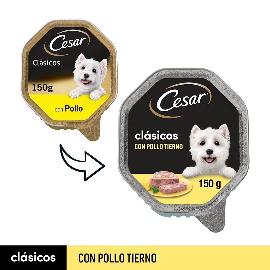 Patê de frango e fígado César para cães