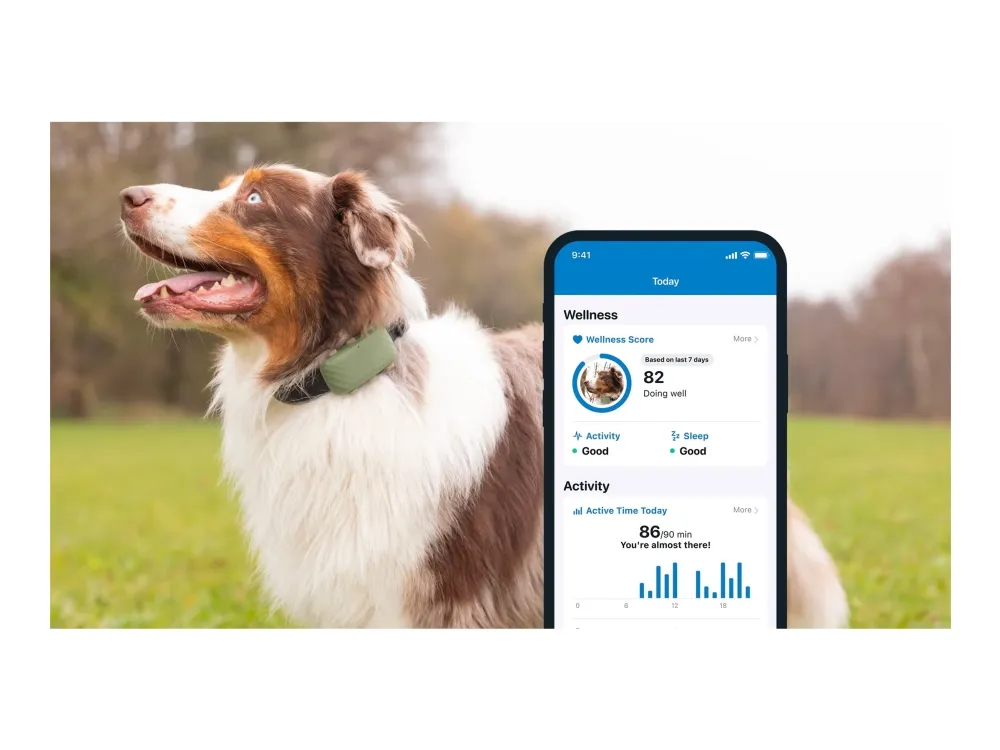 Tractive GPS DOG XL - Green - Abonnement i app
