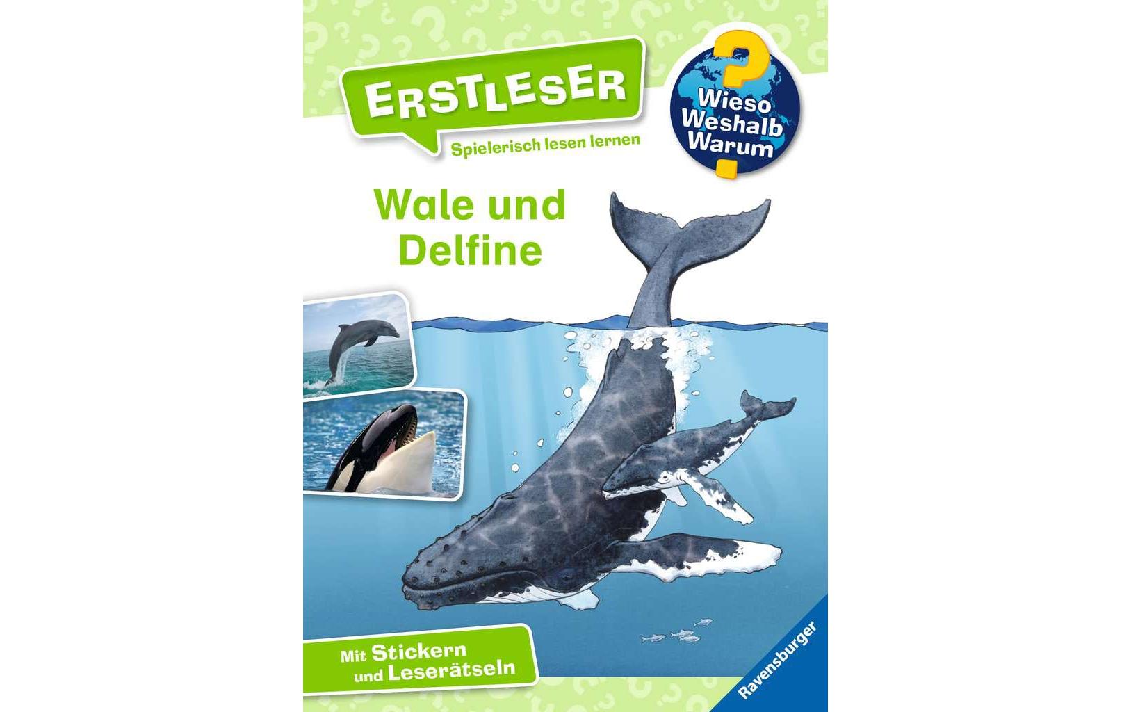 Kinder-Sachbuch WWW Erstleser: Wale und Delfine Band 3Spielerisch lesen lernen