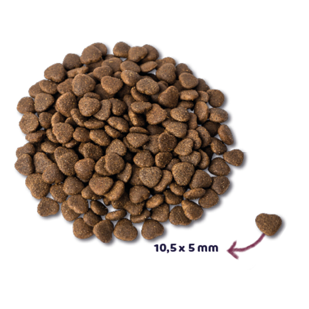 Renske Super Premium Kat Adult Zalm6 kg