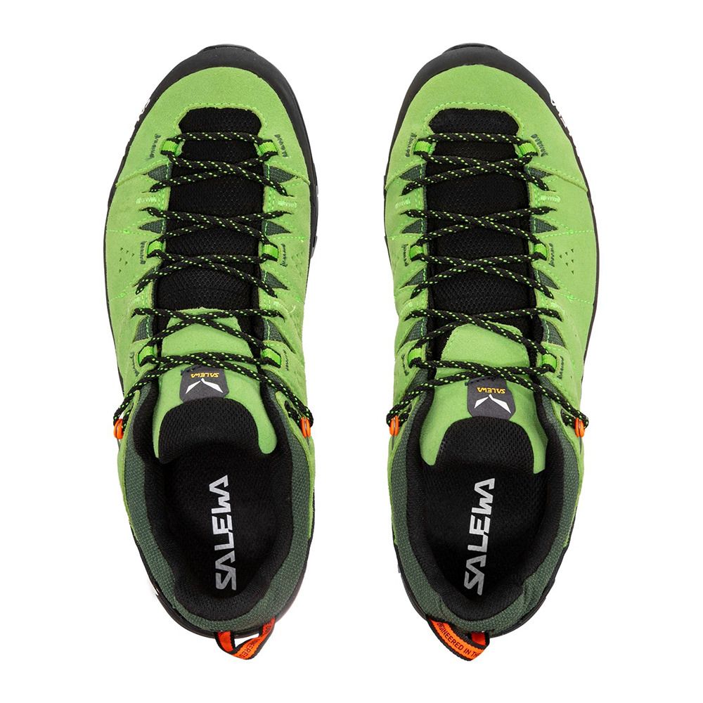 Salewa ALP TRAINER 2 GTX - Chaussures randonné Homme pale frog/black