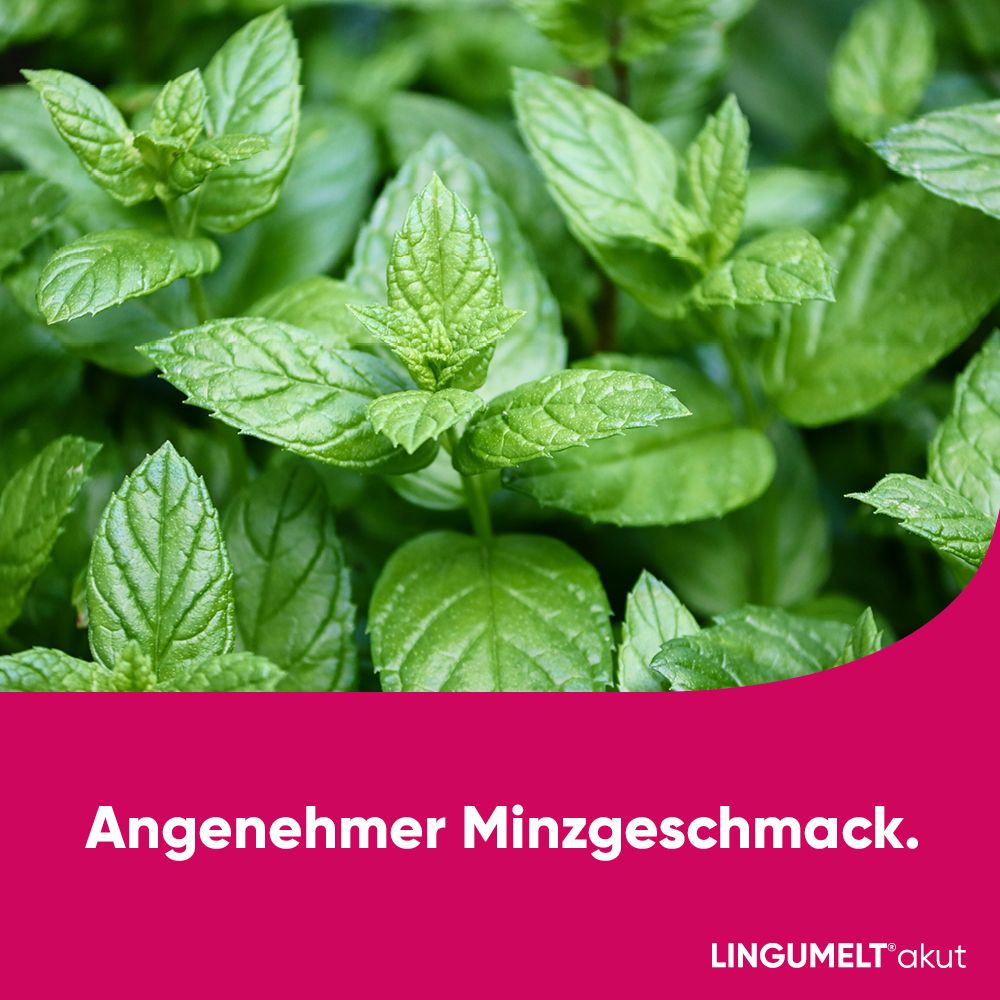 LINGUMELT akut Lyophilisate stoppt schnell akuten Durchfall