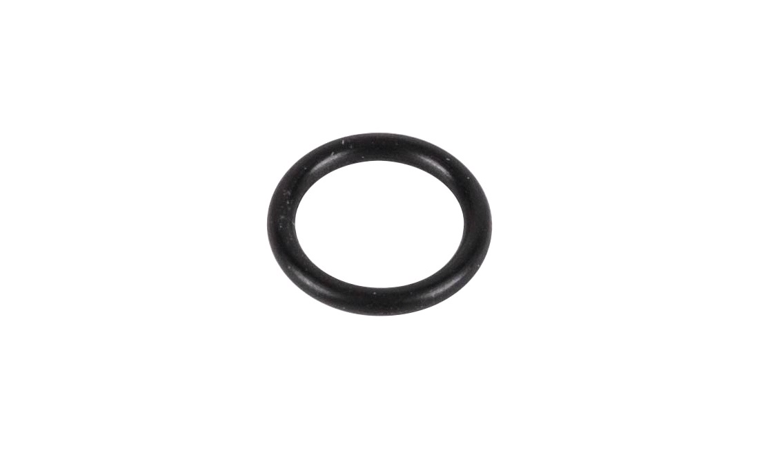 Nilfisk O-ring 3004312