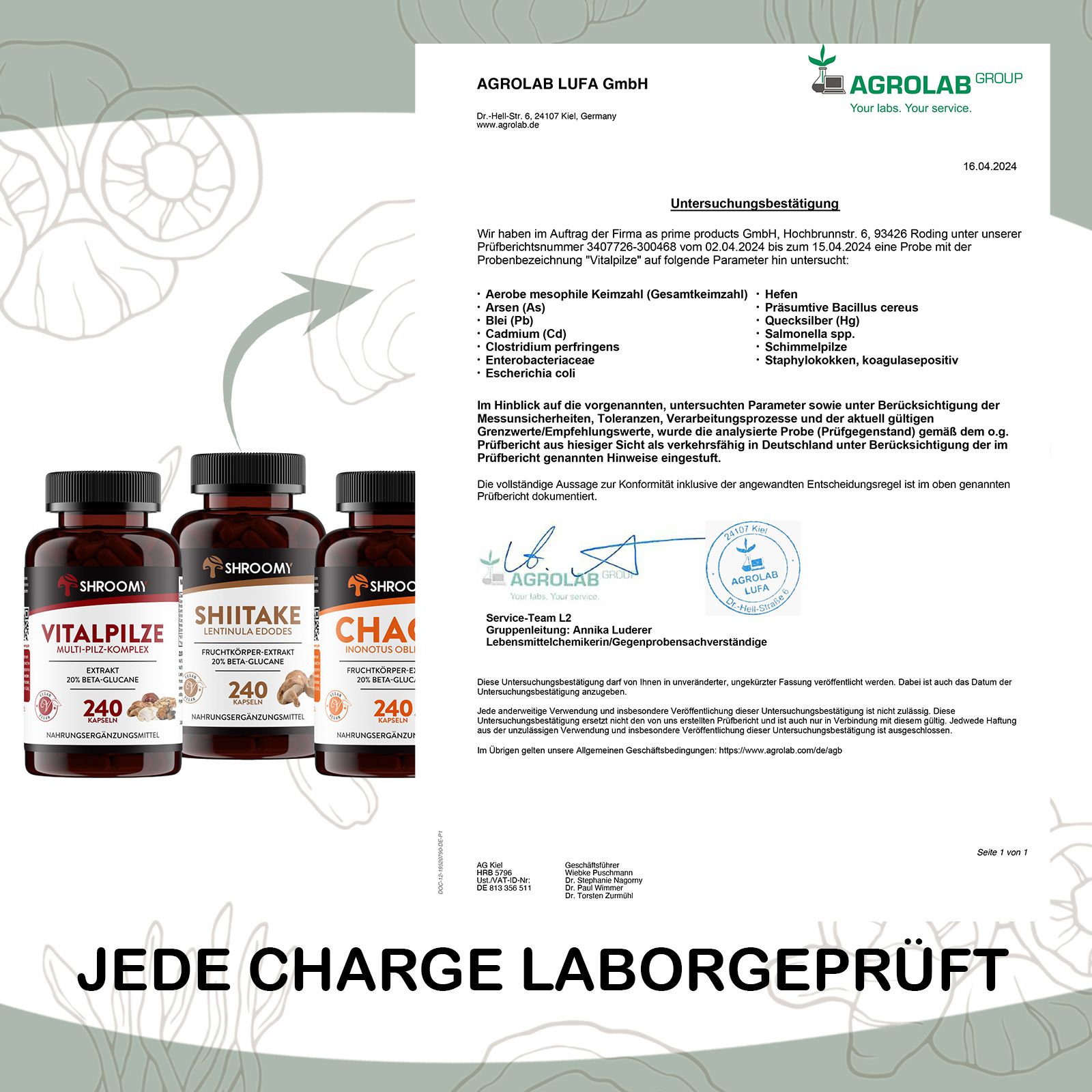 SHROOMY Vitalpilze, Shiitake und Chaga im Set