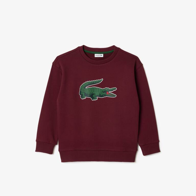 Sweatshirt Jogger avec imprimé signature Pullovers & Sweatshirts - Rouge - Lacoste - Enfant