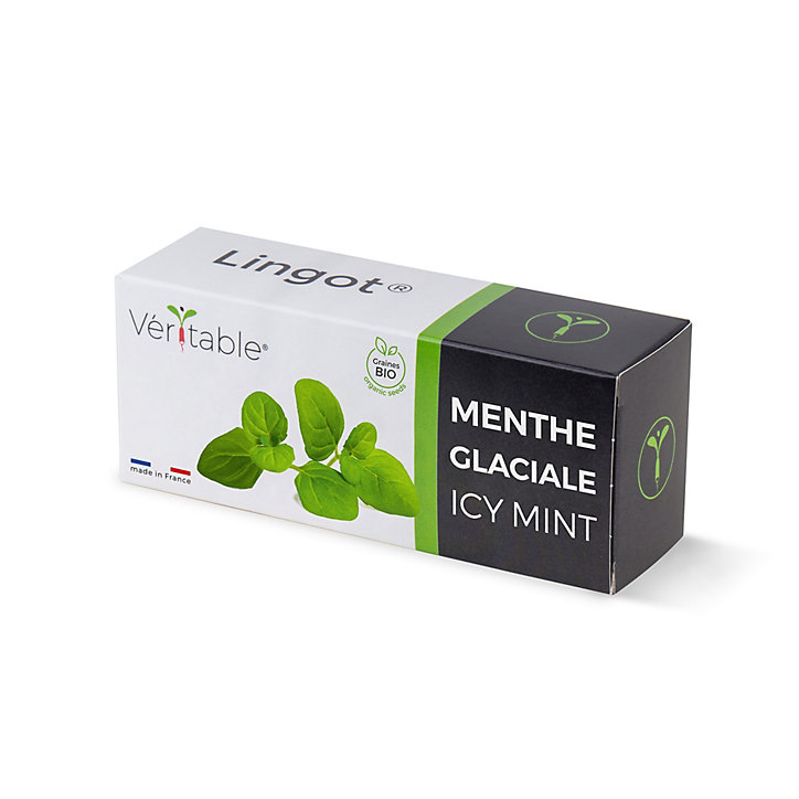 Lingot® Menthe glaciale Bio pour potager Véritable®
