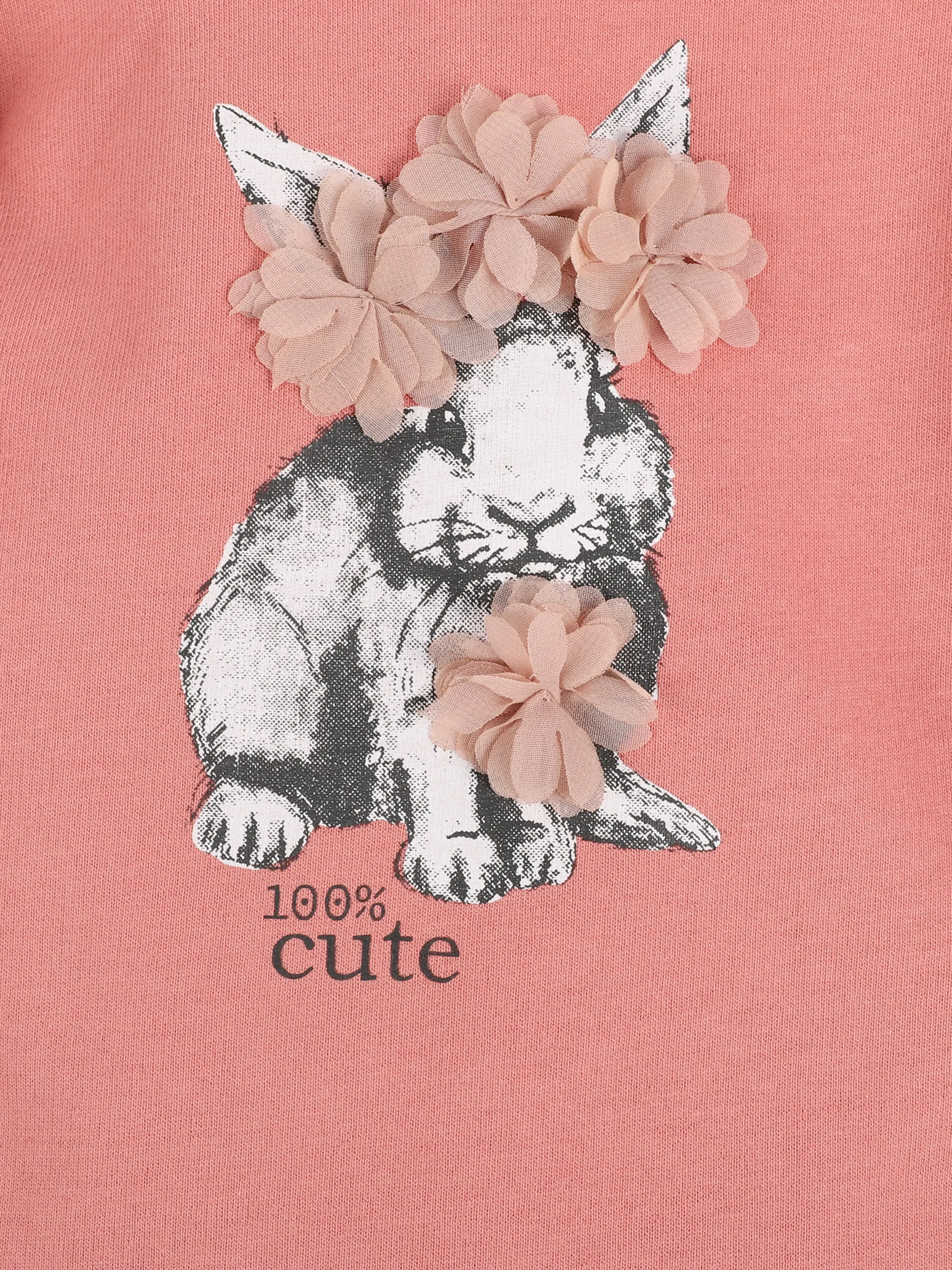 Baby Mädchen Sweatshirt mit Hasendruck