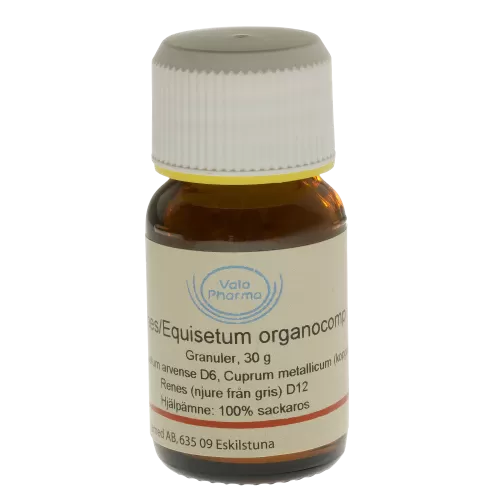 Allergica Renes/Equisetum organocomp, globuli - 30 g