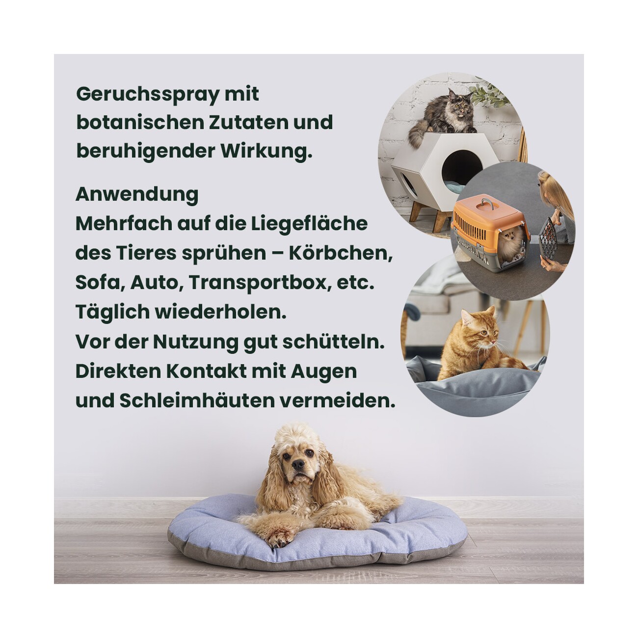 Mooiza Pet Zen Spray