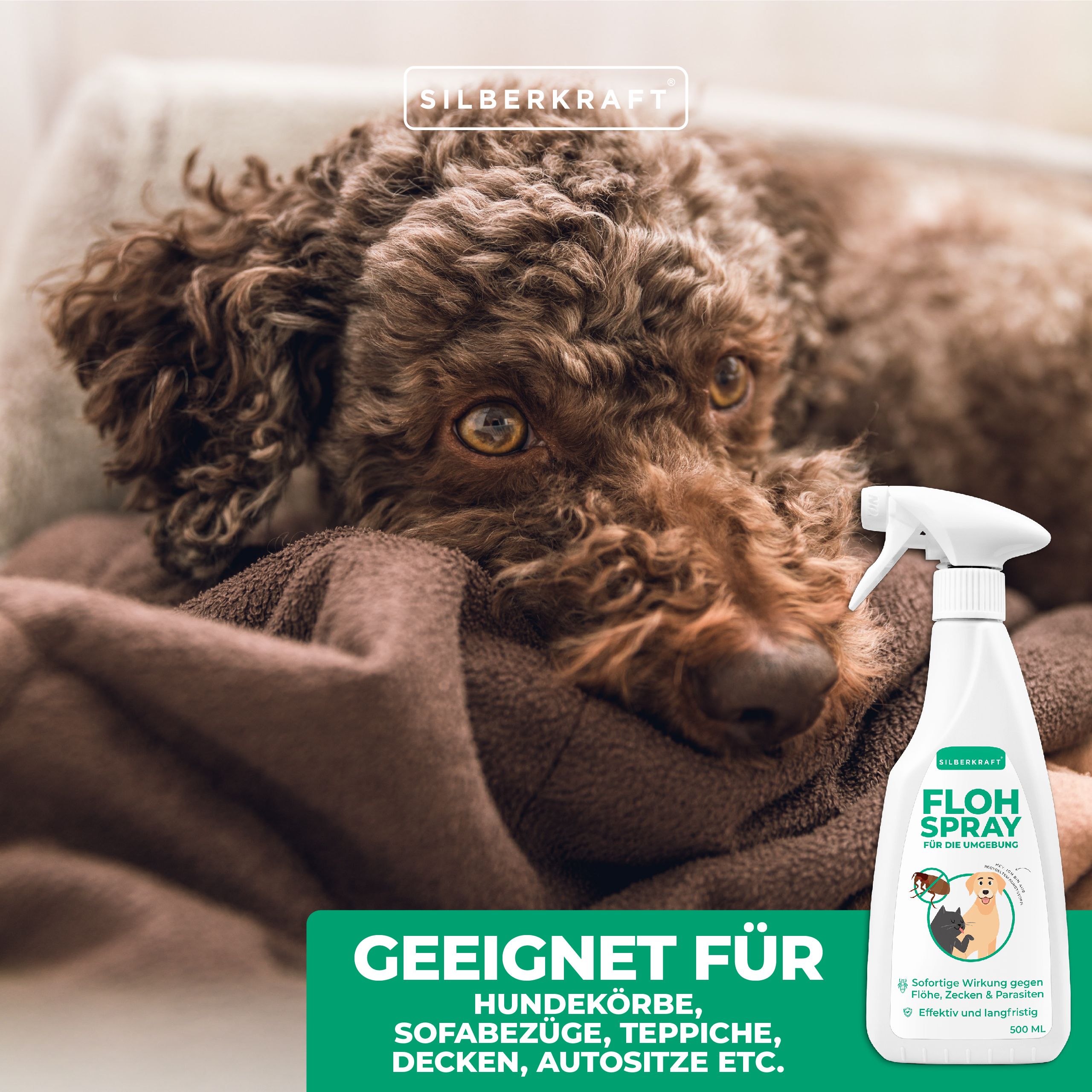 SILBEKRAFT Flohspray