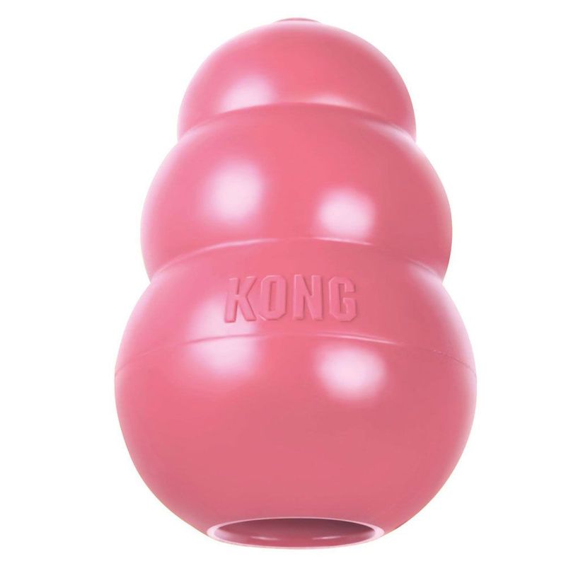 Jouet KONG Puppy