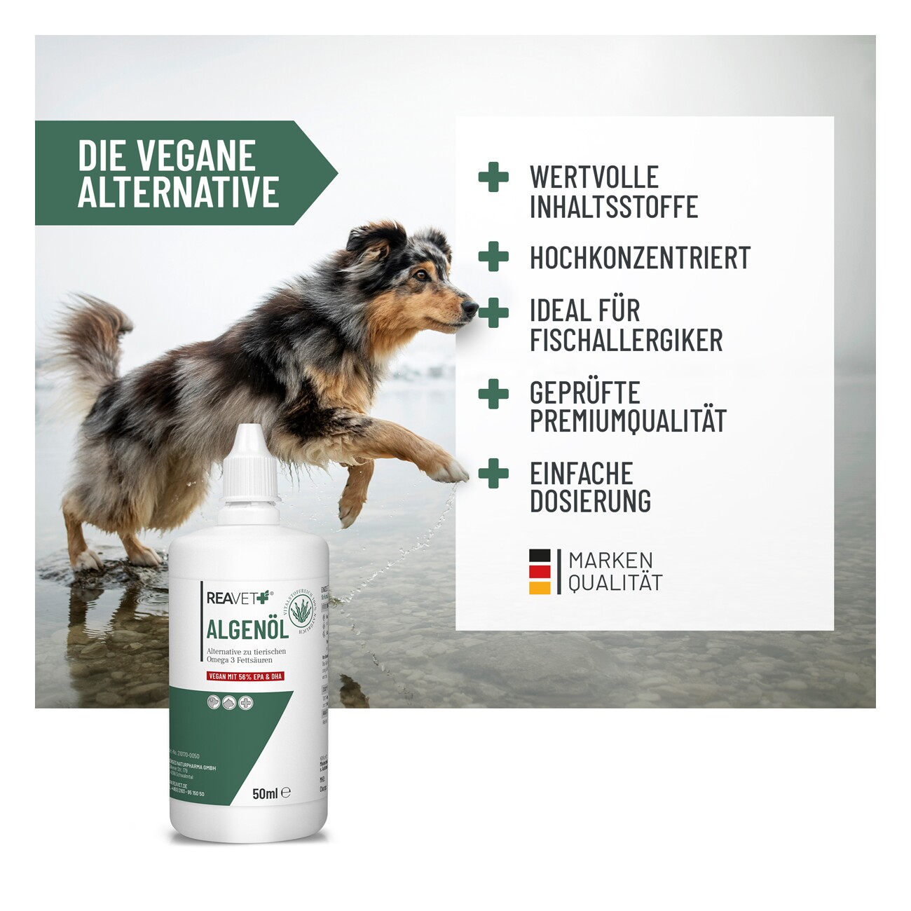 REAVET Algenöl 50ml