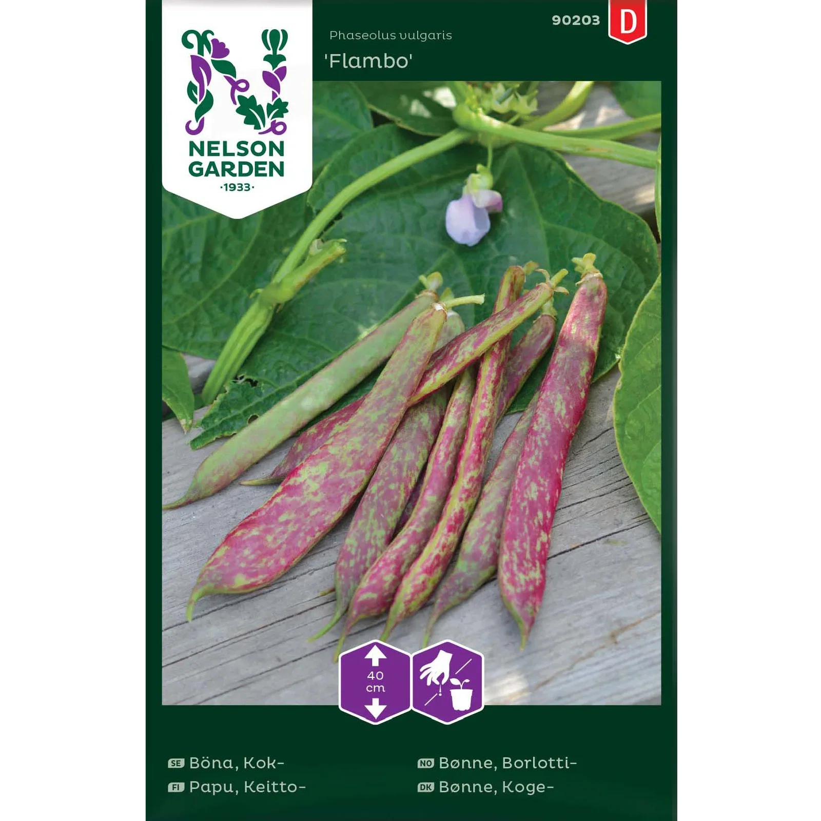Phaseolus vulgaris 'Flambo' Borlottibønne 'Flambo'