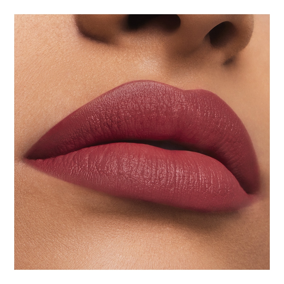 ESTEE LAUDER Pure Color Rouge à Lèvres Mat