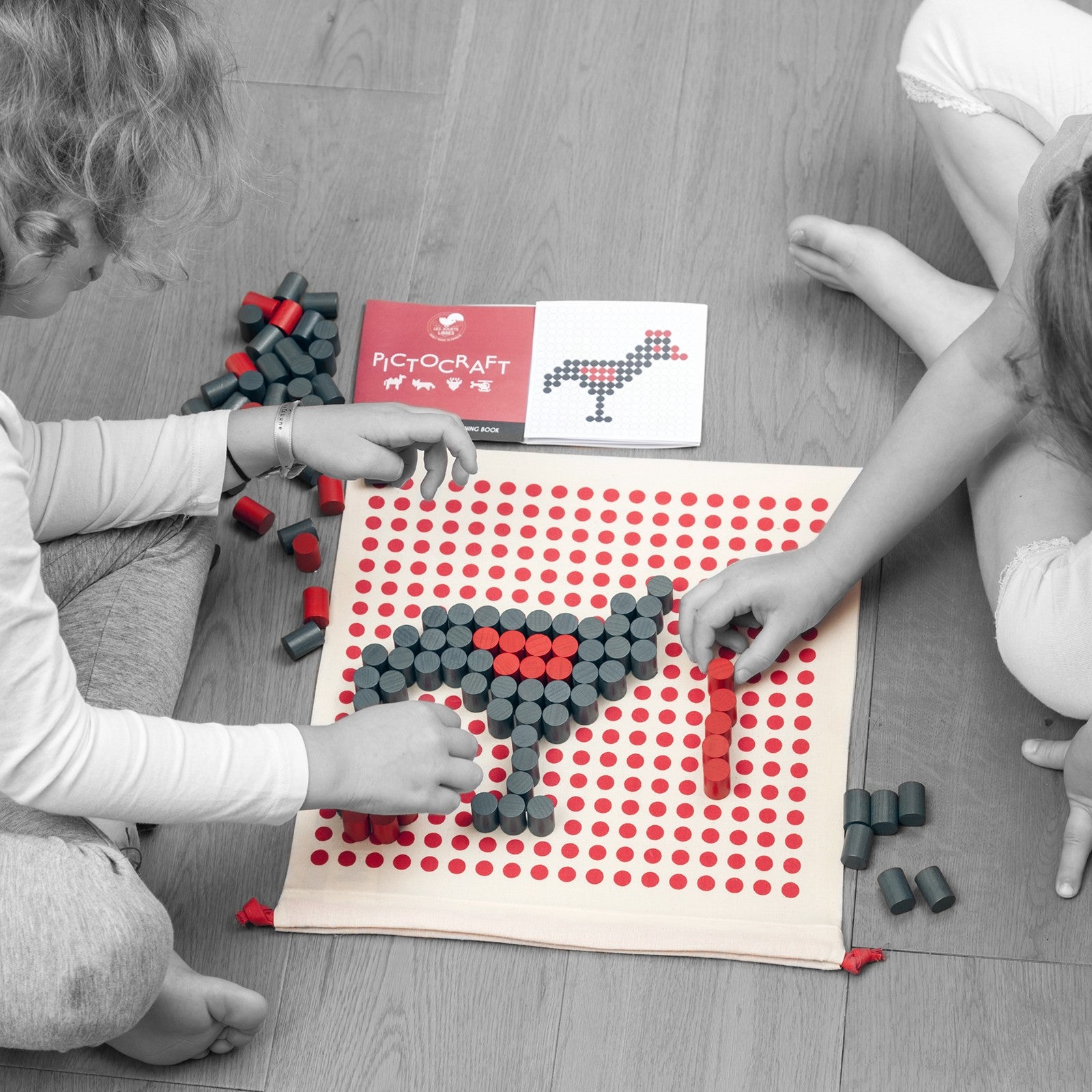 Jeu Pictocraft