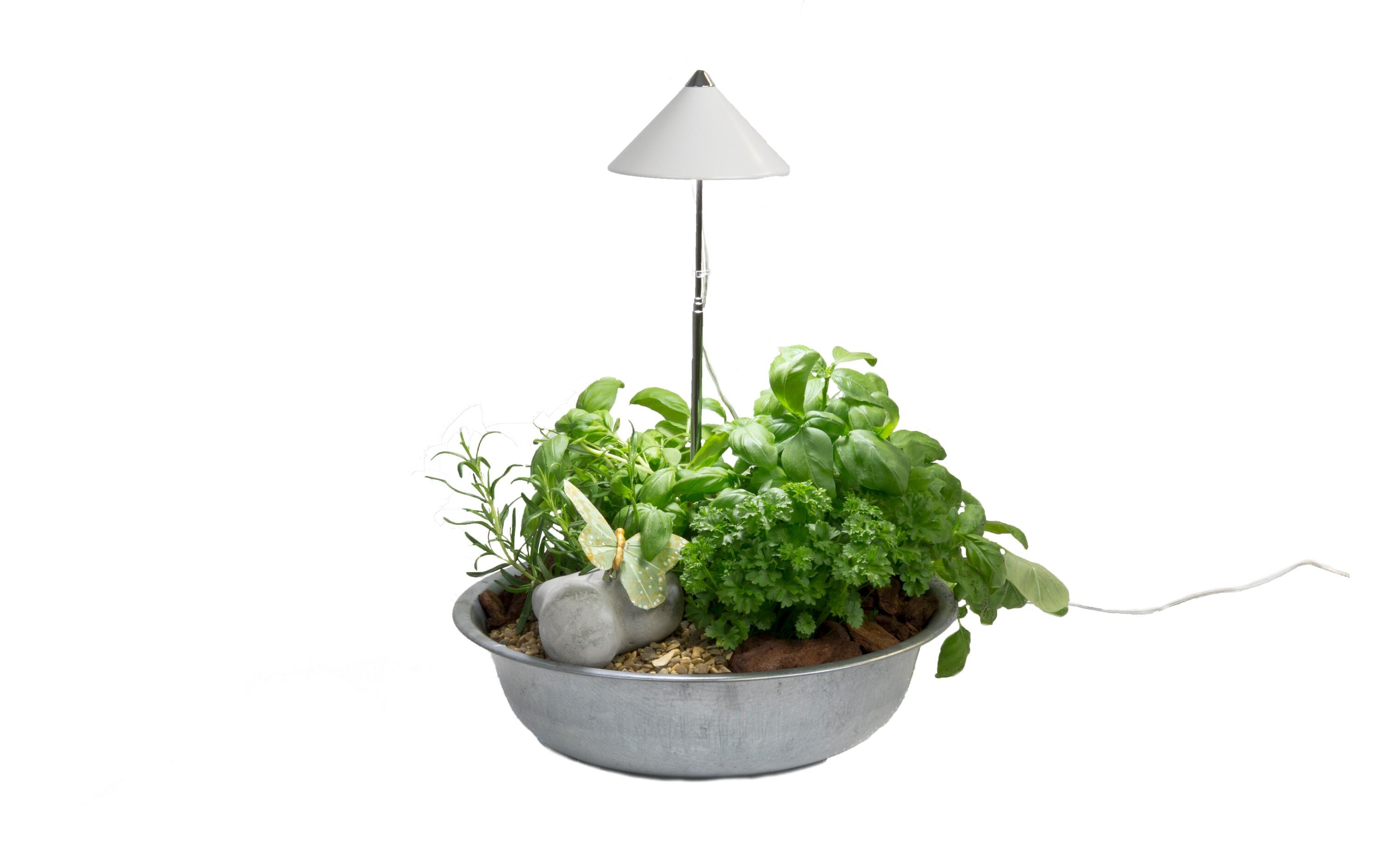 Pflanzenleuchte SunLite 7 W, WeissLED-Pflanzenlampe mit Vollspektrum