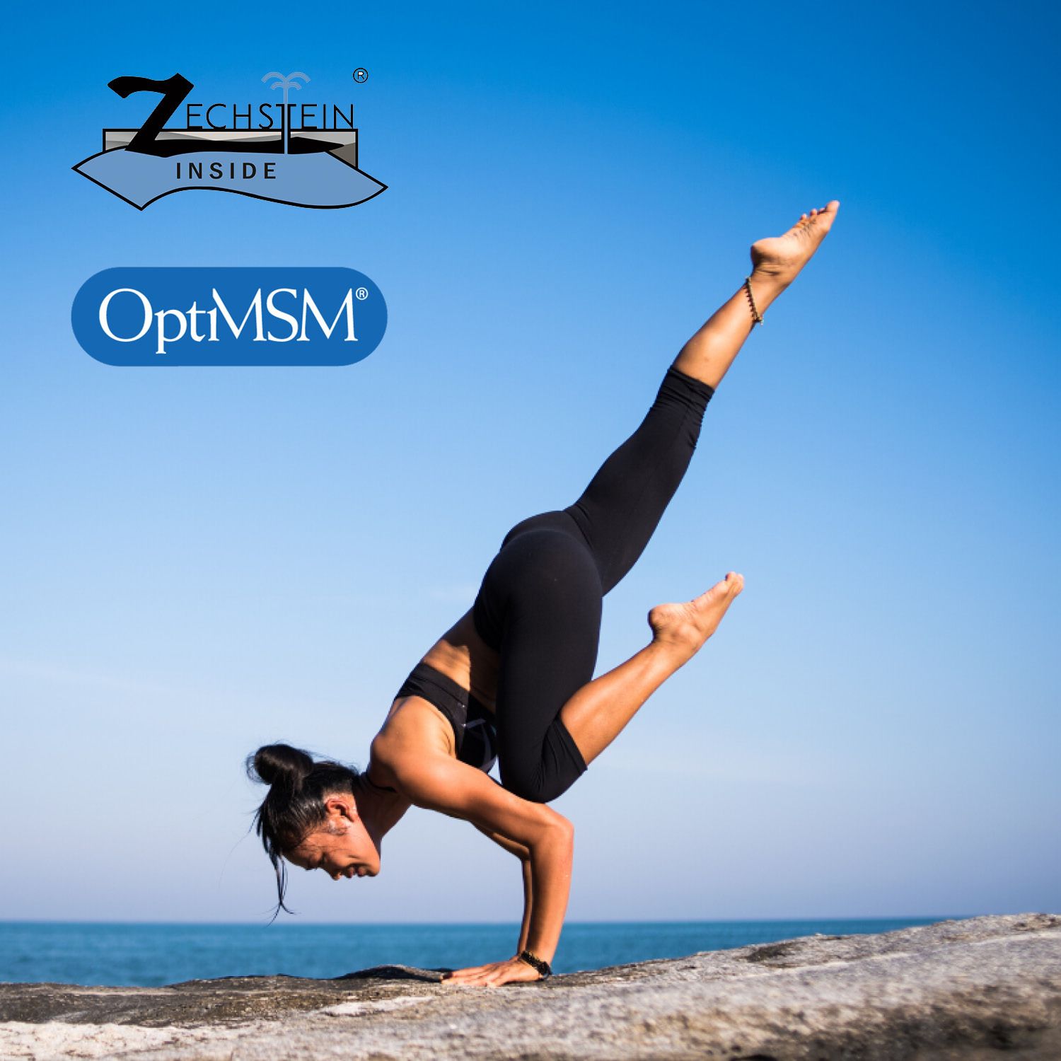 Magnesium + MSM Gel Vital