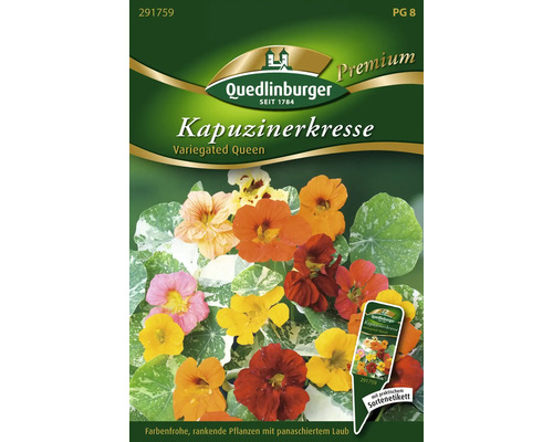 Nasturtium 'Variegated Queen' Quedlinburg bloemzaden