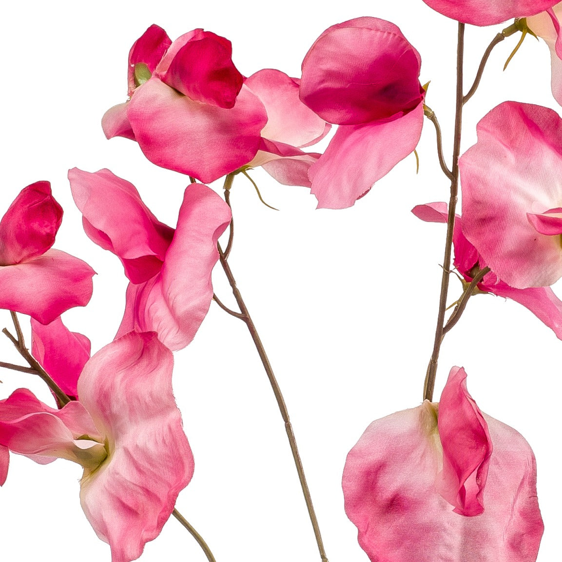 Fleurdirect Kunstbloem Lathyrus Roze -  - 0x75x0cm (BxHxD)