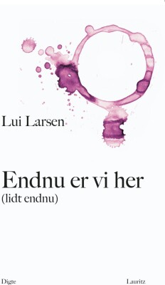 Endnu Er Vi Her - Lidt Endnu - Lui Larsen - Bog