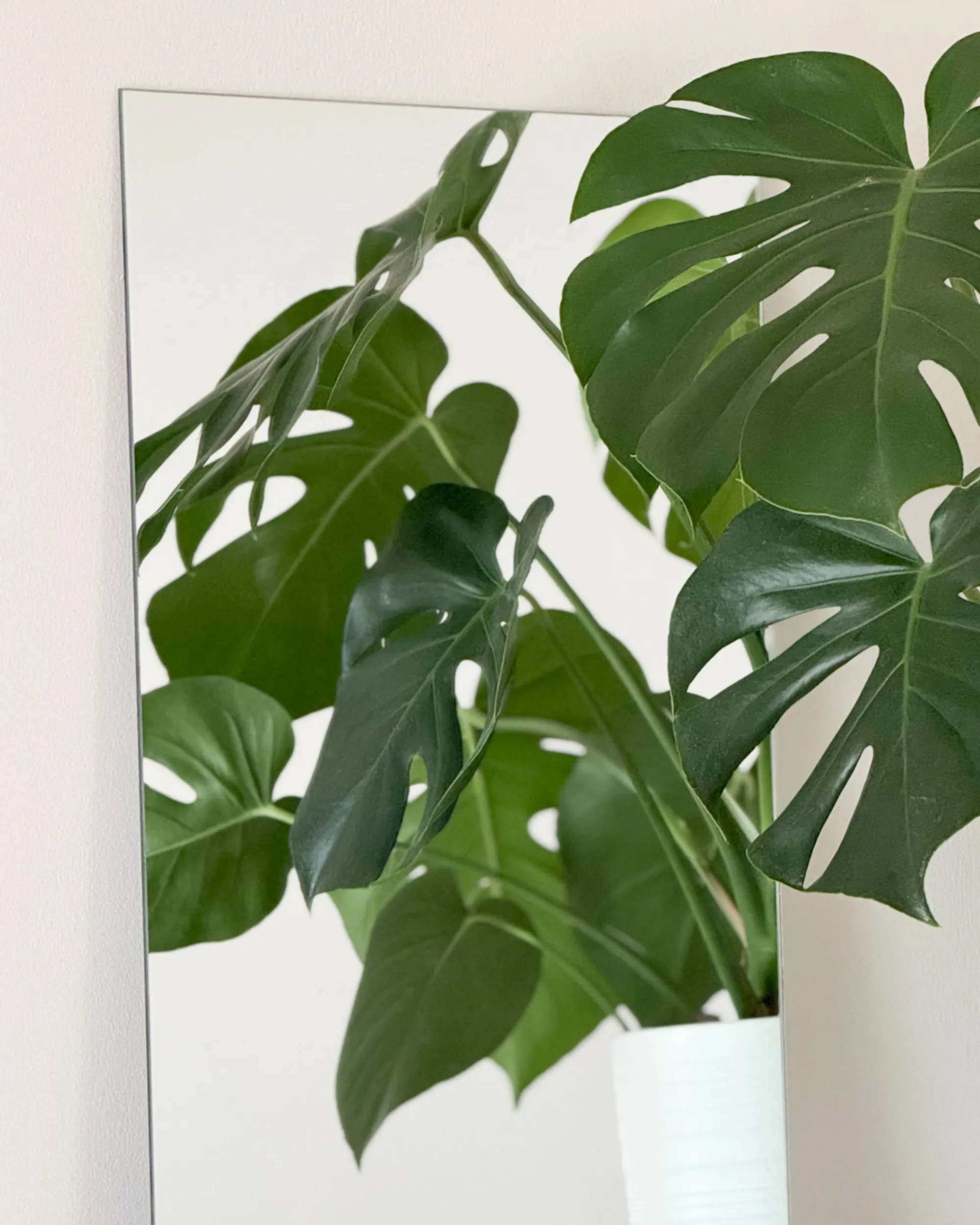 Wandspiegel ANGERS 40 cm 60 cm Zilver