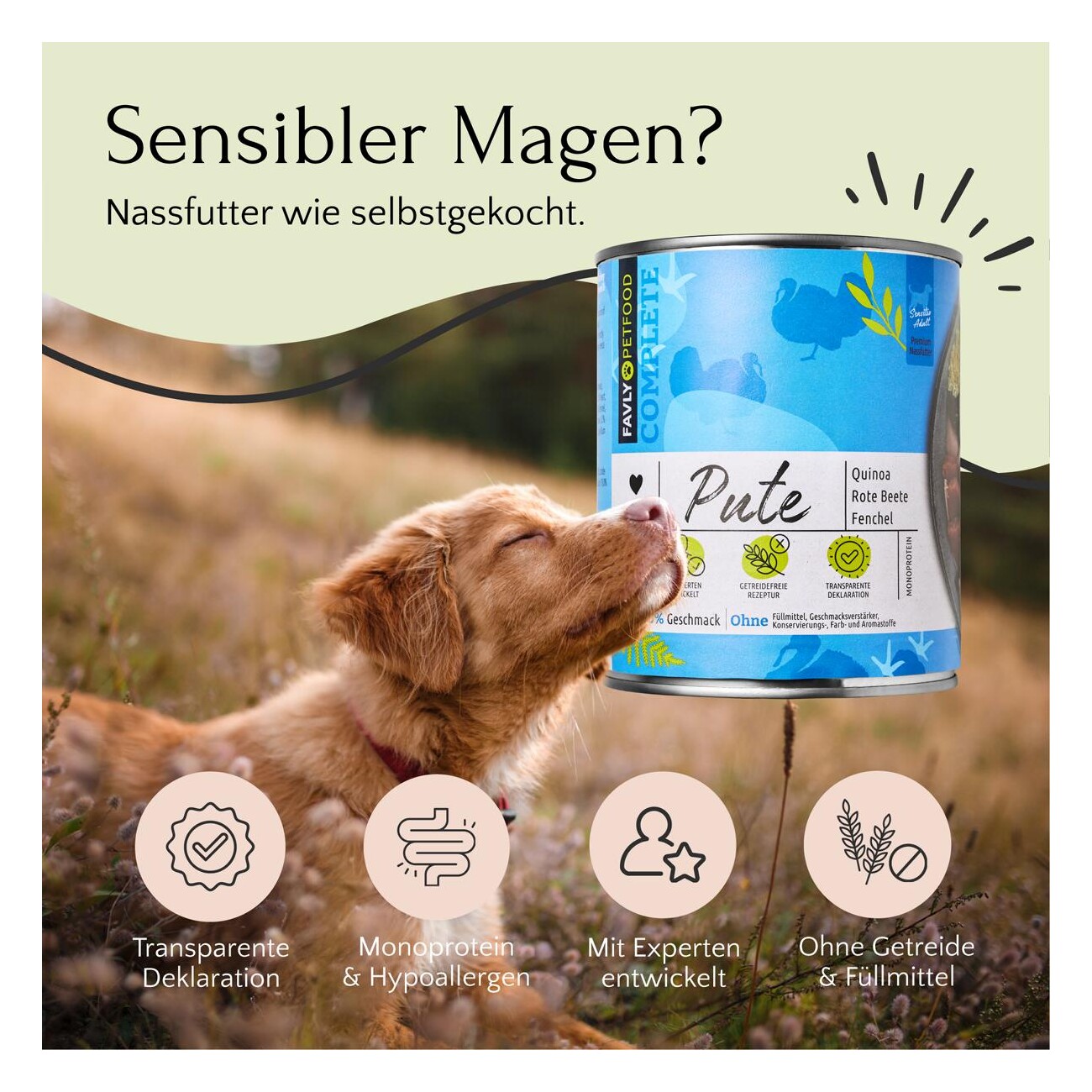 FAVLY Petfood Nassfutter Pute mit Quinoa, Rote Beete & Fenchel 6x800 g