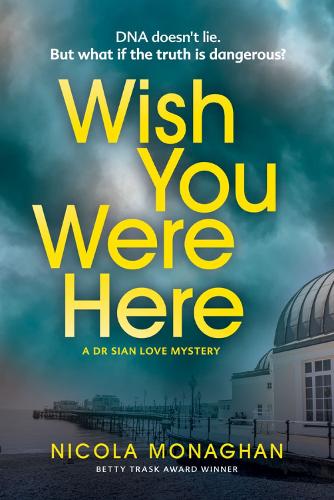 Wish You Were Here (Paperback)