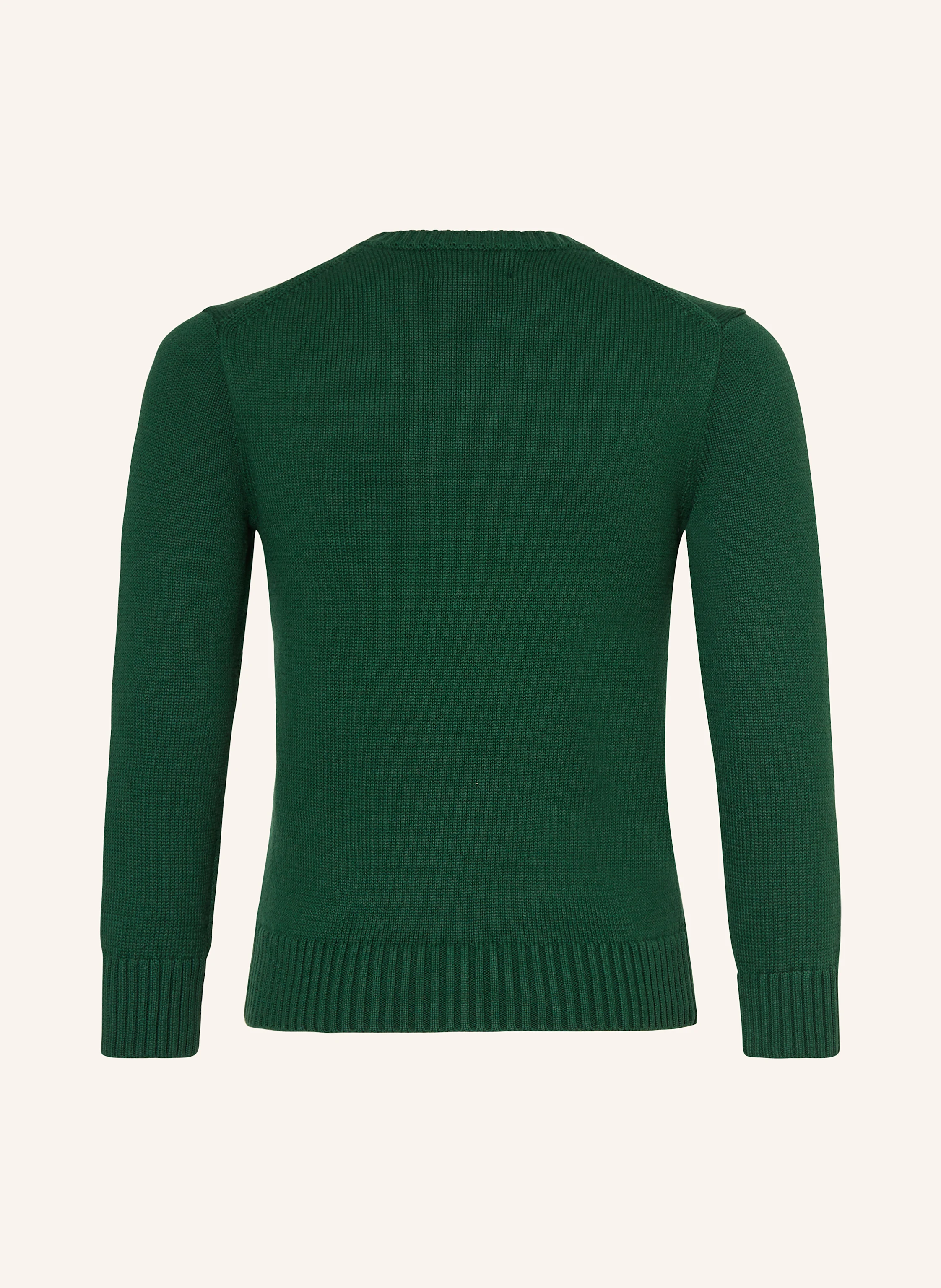 POLO RALPH LAUREN Pullover