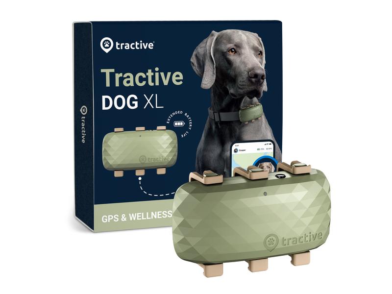 tractive GPS-Tracker DOG XL, Grün GPS Tracker für grosse Hunde