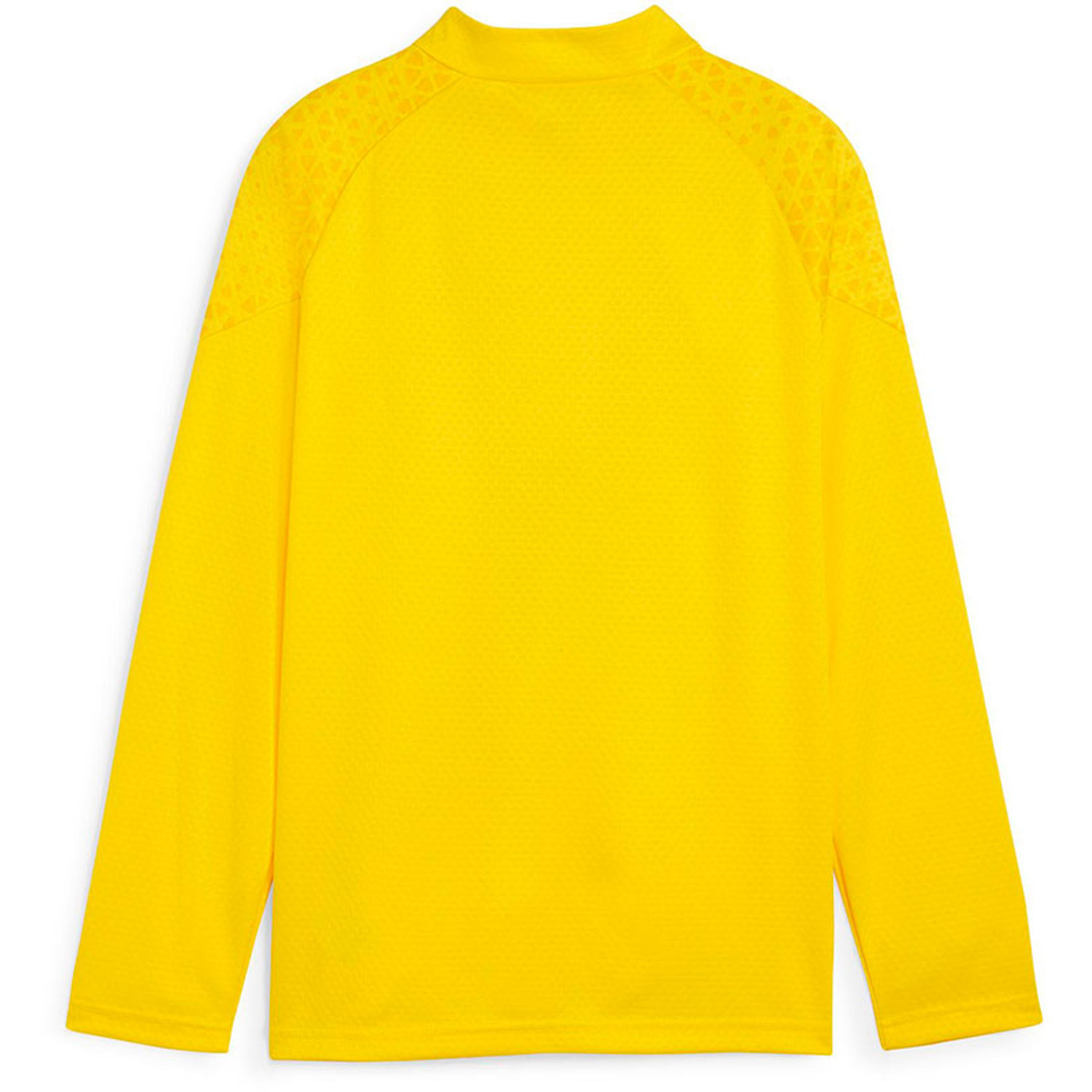 Puma Borussia Dortmund Trainingspak Kids