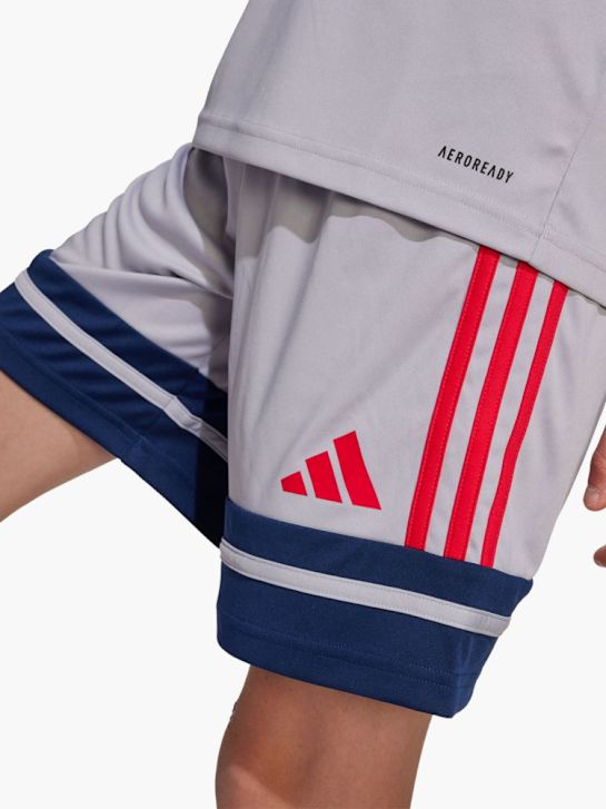 adidas Shorts Hellgrau